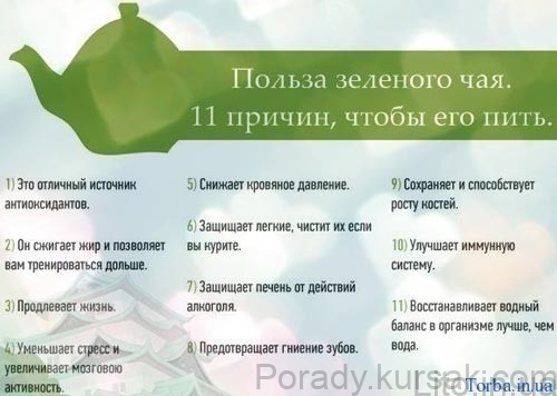 koryst_zelenogo_chaju