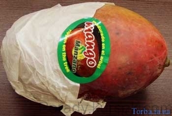 mango