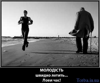 molodist