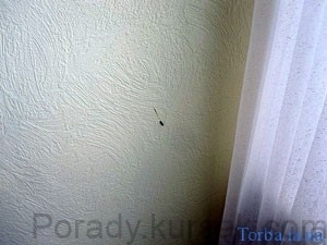 original-(5)