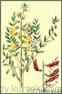 sofora