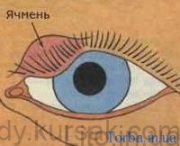 yachmin